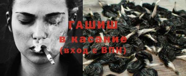 spice Аркадак