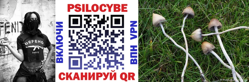 хочу   Обнинск  Псилоцибиновые грибы MAGIC MUSHROOMS 